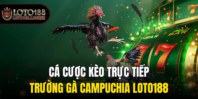 Cá Cược Kèo Trực Tiếp Trường Gà Campuchia Loto188